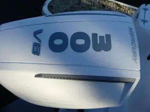 Thumbnail von Blackfin 222 CC