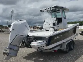 Thumbnail von Blackfin 242HB