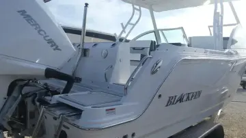 Thumbnail von Blackfin 252 DC