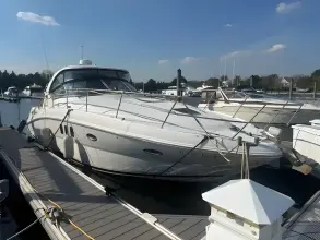 Thumbnail von Sea Ray 380 Sundancer