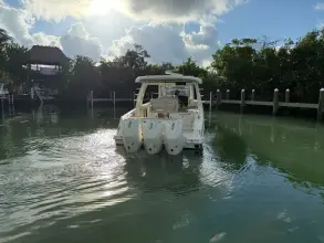 Thumbnail von Boston Whaler 350 Realm