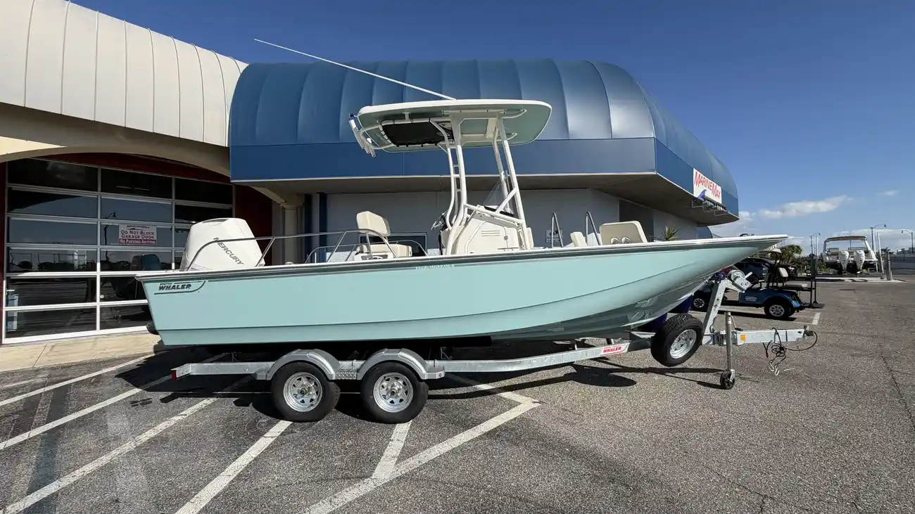 Boston Whaler 210 Montauk