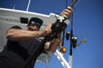 Thumbnail von Blackfin 272 DC