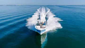 Thumbnail von Blackfin 302 DC