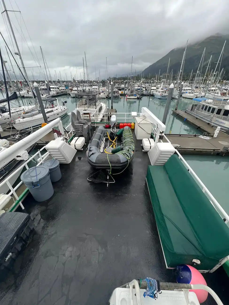 Thumbnail von Falcon 62 Miss Brizz