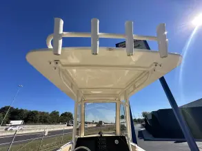 Thumbnail von Scout 240 XSF