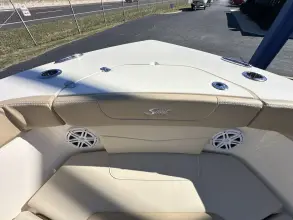 Thumbnail von Scout 240 XSF