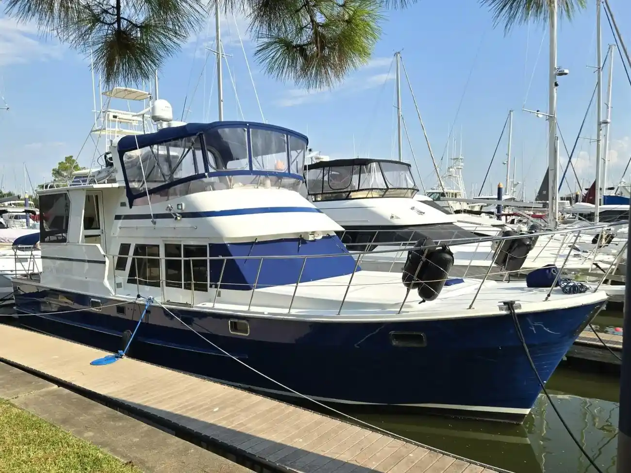 Thumbnail von Nova Moorea 48