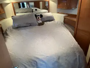 Thumbnail von Sealine F37 Ohana