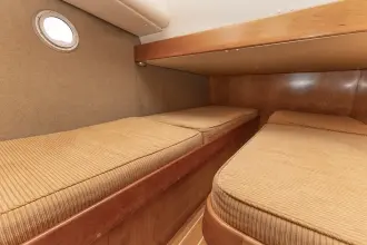 Thumbnail von Delphis 10 LoFi