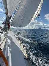 Thumbnail von Van De Stadt Galant 53 Mymlen