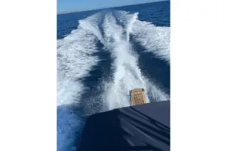 Thumbnail von Luhrs 32 Tournament