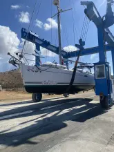 Thumbnail von Alliaura Feeling 44