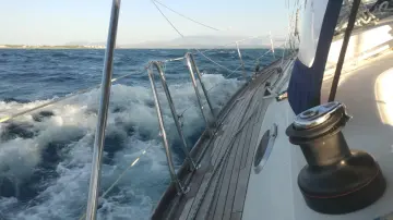 Thumbnail von Alliaura Feeling 44