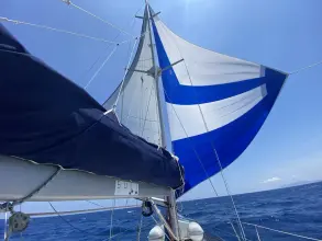 Thumbnail von Alliaura Feeling 44