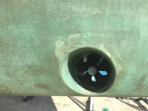 Thumbnail von Alliaura Feeling 44