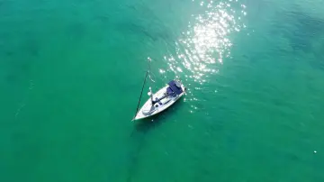 Thumbnail von Alliaura Feeling 44