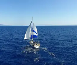 Thumbnail von Alliaura Feeling 44