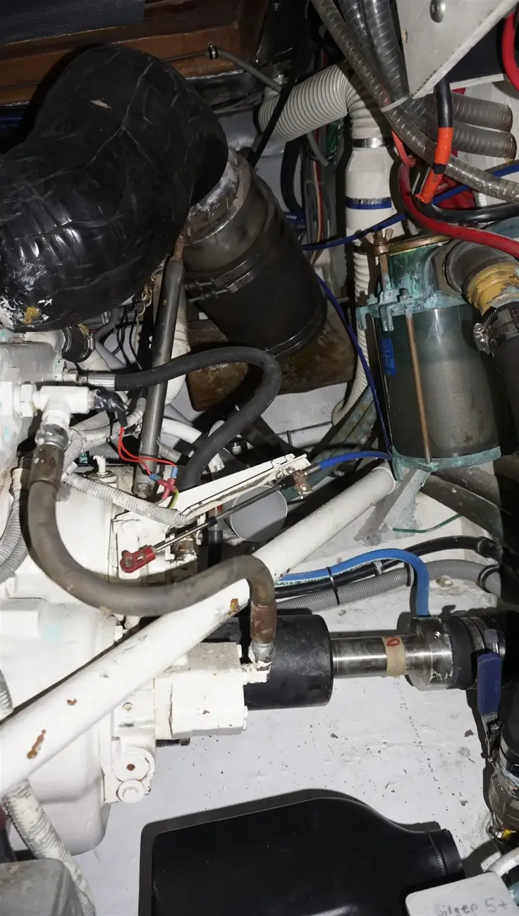 Thumbnail von Bertram 37