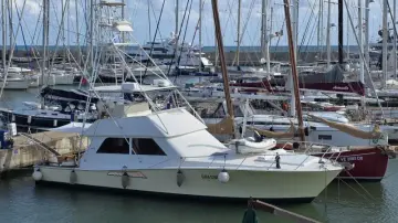 Thumbnail von Viking 50 Open