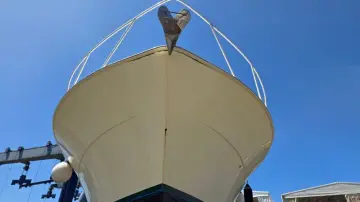 Thumbnail von Viking 50 Open