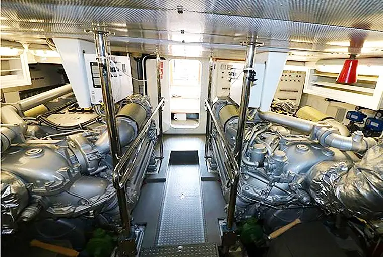 Thumbnail von Maiora 20 S Lady Rose