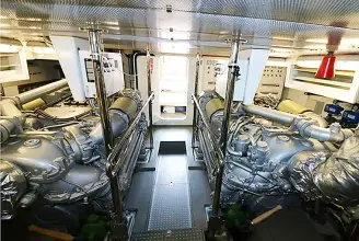 Thumbnail von Maiora 20 S Lady Rose