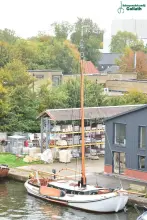 Thumbnail von Lemsteraak Roef 14.50 Eersteling