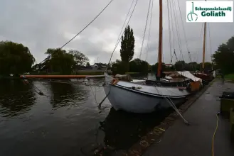 Thumbnail von Lemsteraak Roef 14.50 Eersteling