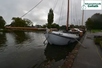 Thumbnail von Lemsteraak Roef 14.50 Eersteling