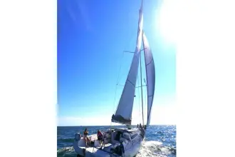 Thumbnail von Pogo 12.50