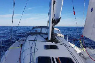 Thumbnail von Pogo 12.50