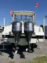 Thumbnail von Wellcraft 290 Coastal