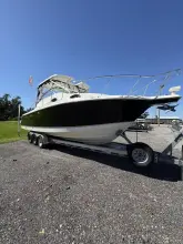 Thumbnail von Wellcraft 290 Coastal