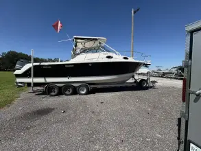 Thumbnail von Wellcraft 290 Coastal