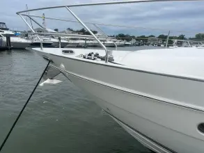 Thumbnail von Princess 65