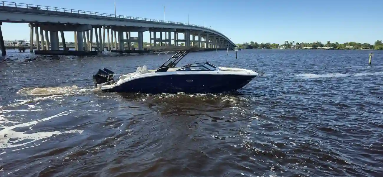 Sea Ray SDX 290 Hors-Bord