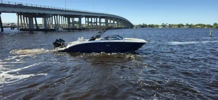 Sea Ray SDX 290 Außenborder