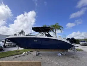 Thumbnail von Sea Ray SDX 290 Hors-Bord