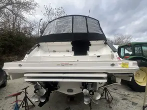 Thumbnail von Sea Ray 370 Sundancer