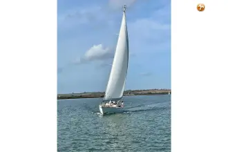 Thumbnail von Dick Zaal 41