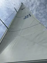 Thumbnail von X-Yachts X4.3 MkII #126