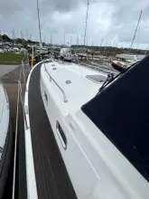 Thumbnail von Dale Nelson 38 ANDROMEDA