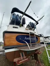 Thumbnail von Dale Nelson 38 ANDROMEDA