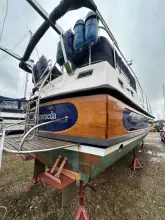 Thumbnail von Dale Nelson 38 ANDROMEDA