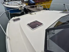 Thumbnail von Excite Cat 10.10 Fortuna