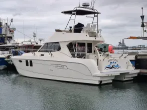 Thumbnail von Excite Cat 10.10 Fortuna