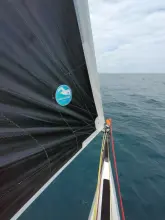 Thumbnail von Shuttleworth 39 Morpheus