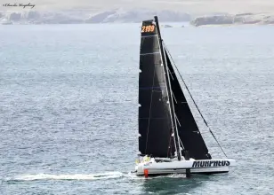 Thumbnail von Shuttleworth 39 Morpheus