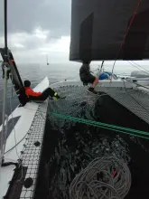 Thumbnail von Shuttleworth 39 Morpheus